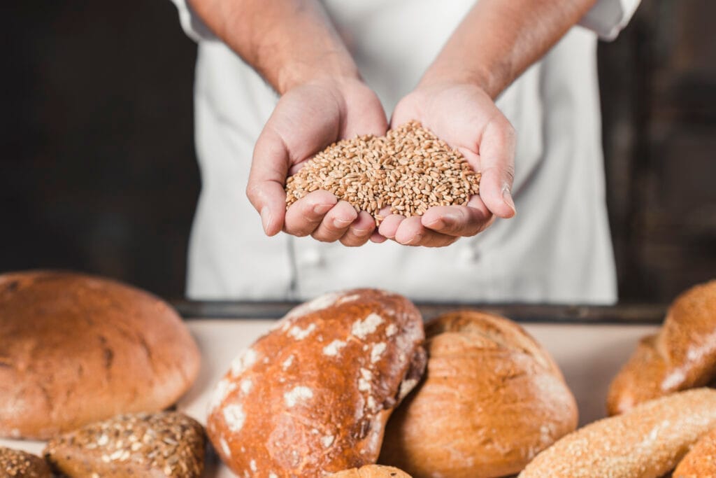 baker holding wheat grains hands front baked bread Profesyonel Pastacılık ve Ekmekçilik