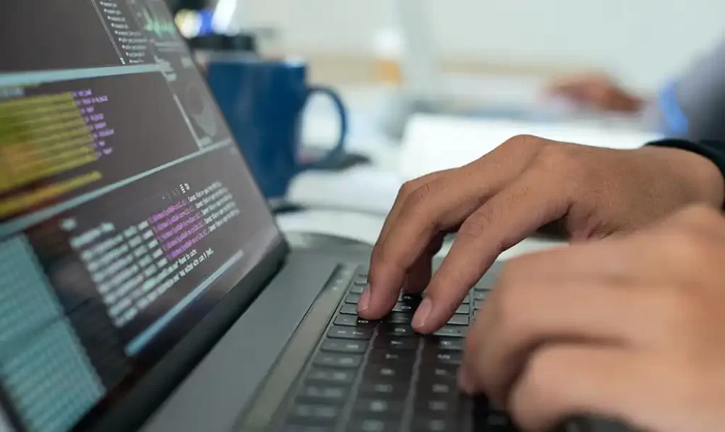css Css Eğitimi Sertifikası