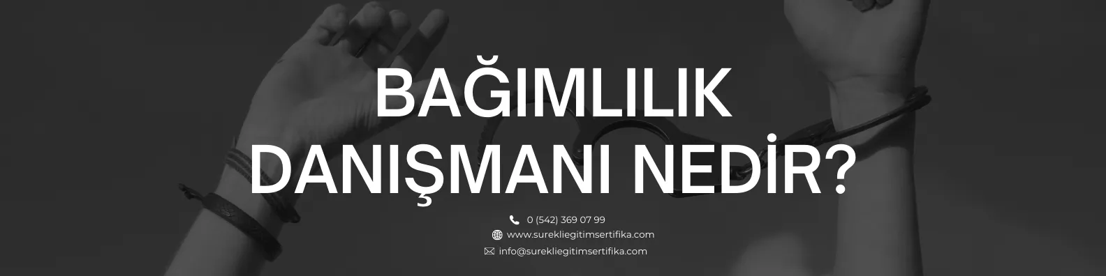 Bağımlılık Danışmanı Nedir