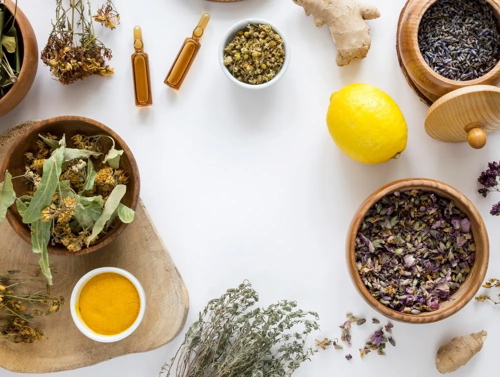Tıbbi ve Aromatik Bitki Yetiştiriciliği Eğitimi Nedir?
