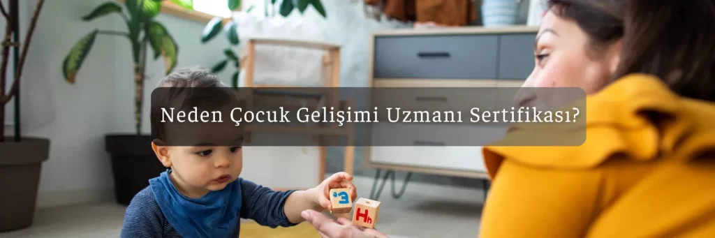 Neden Cocuk Gelisimi Uzmani Sertifikasi