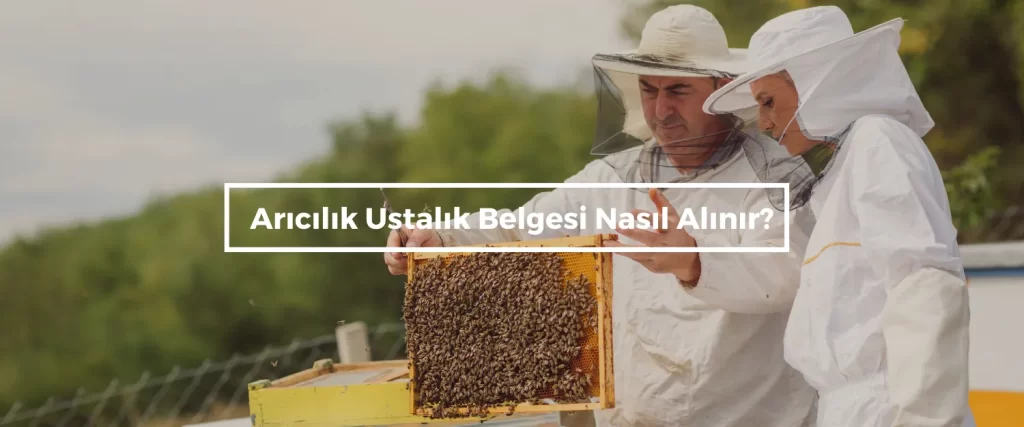 Aricilik Ustalik Belgesi Nasil Alinir