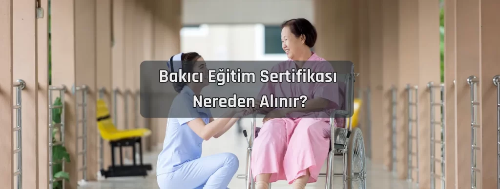 Bakici Egitim Sertifikasi Nereden Alinir