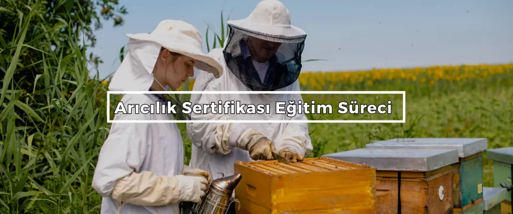 Aricilik Sertifikasi Egitim Sureci Aricilik Sertifikasi Egitim Sureci