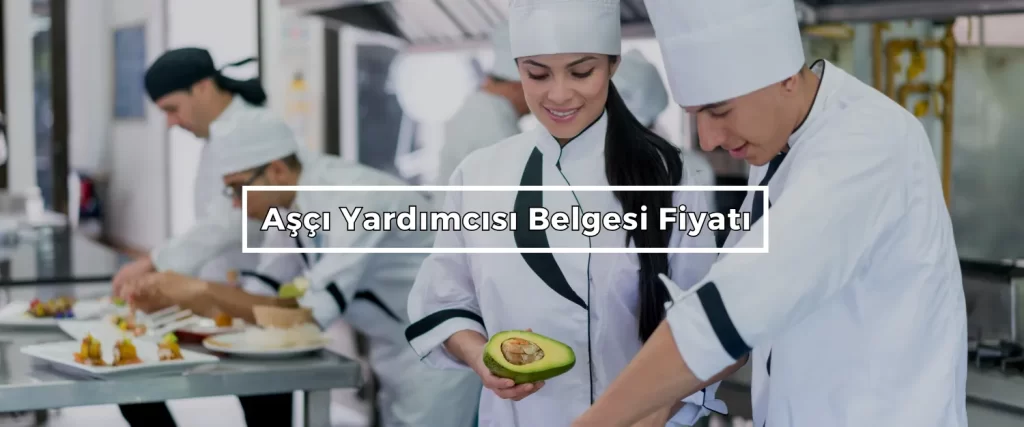Asci Yardimcisi Belgesi Fiyati Asci Yardimcisi Belgesi Fiyati
