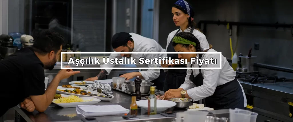 Ascilik Ustalik Sertifikasi Fiyati Ascilik Ustalik Sertifikasi Fiyati