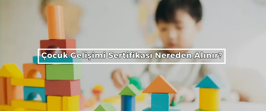 Cocuk Gelisimi Sertifikasi Nereden Alinir Kreşlerde Çalışmak İçin Gerekli Sertifikalar