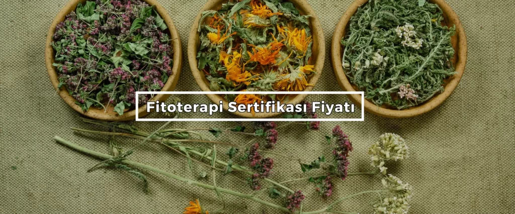 Fitoterapi Sertifikasi Fiyati Fitoterapi Sertifikasi Fiyati