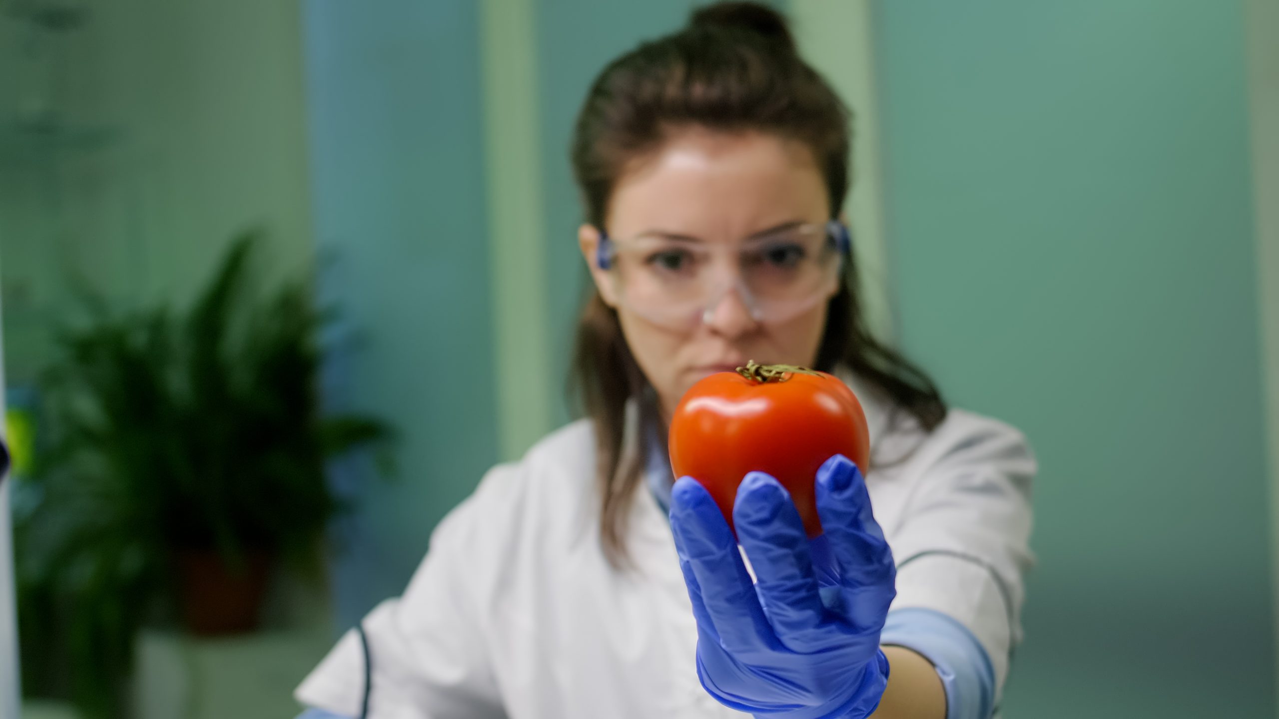 ISO 22000 Gıda Güvenliği Sertifikası
