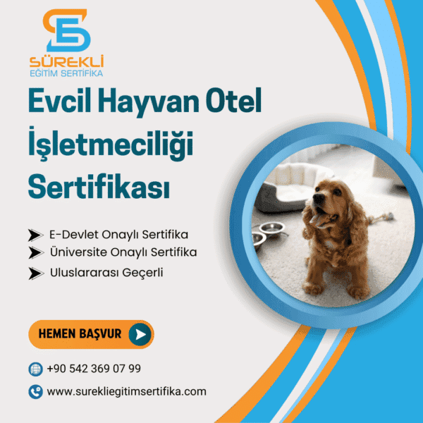 Evcil Hayvan Otel İşletmeciliği Sertifikası eğitim görseli