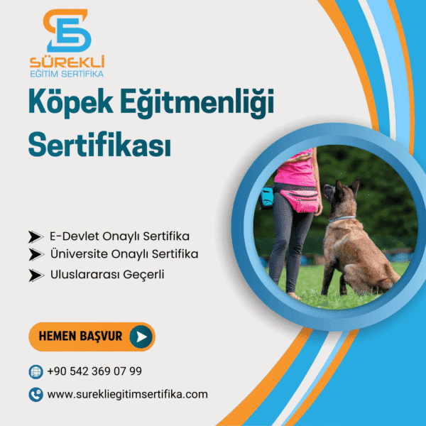Köpek Eğitmenliği Sertifikası eğitim görseli