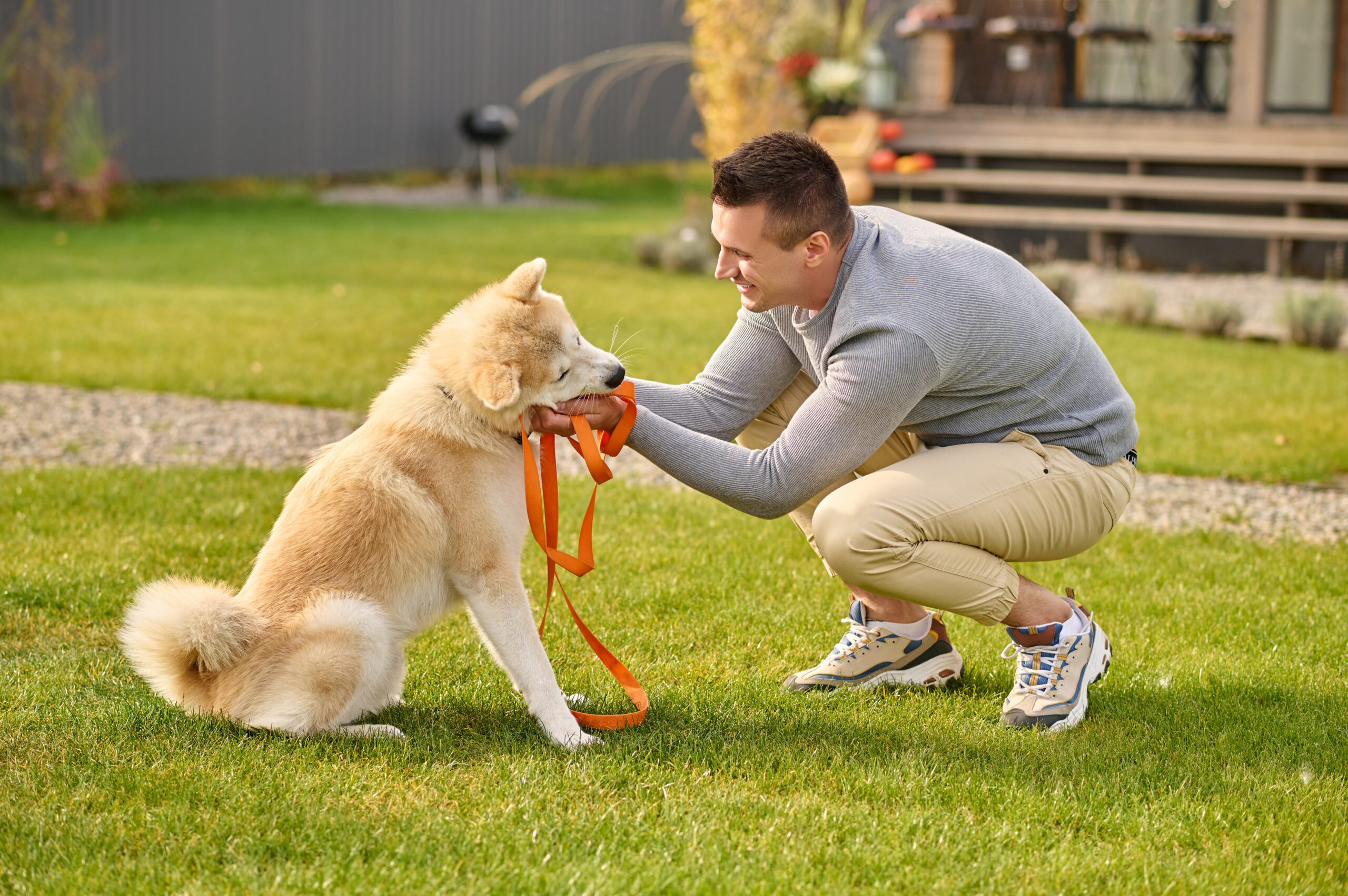 Köpek Eğitmenliği Sertifikası