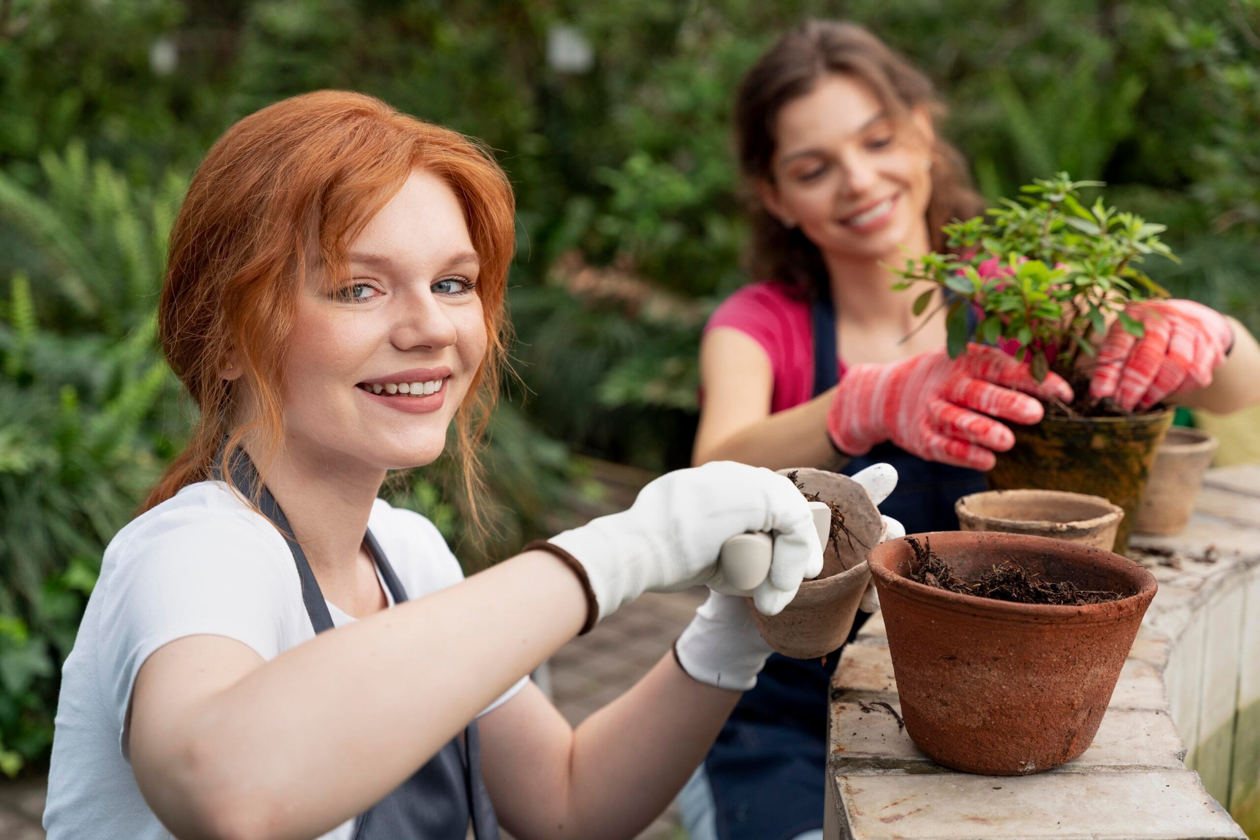 friends taking care their plants greenhouse scaled Organik Tarım Sertifikası Nasıl Alınır