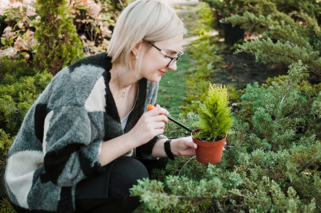 gardening Tıbbi ve Aromatik Bitki Yetiştiriciliği Sertifikası Nasıl Alınır?
