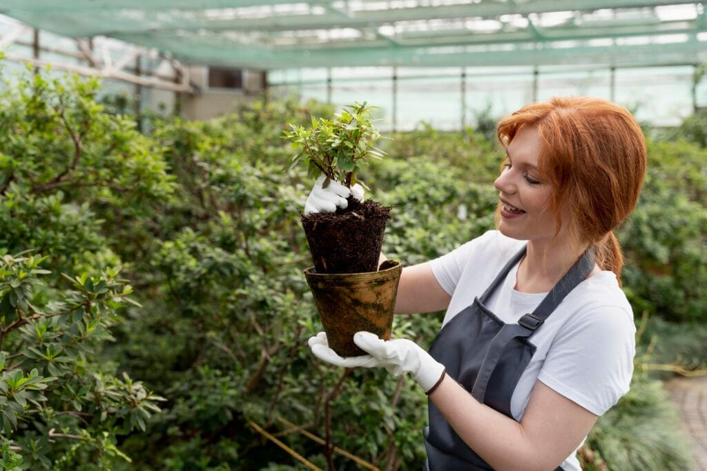young woman taking care her plants greenhouse Tıbbi ve Aromatik Bitki Yetiştiriciliği Sertifikası Nasıl Alınır?