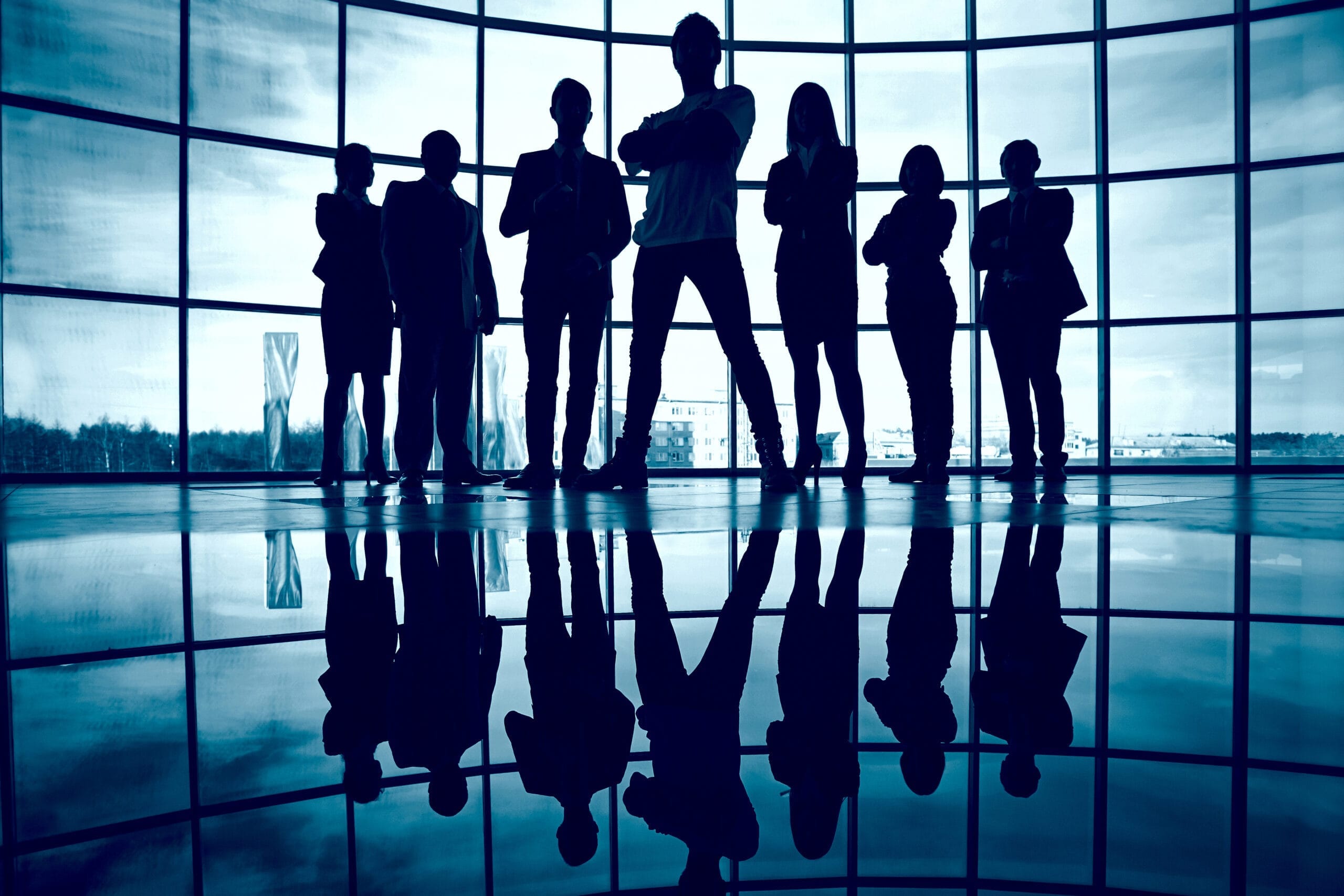 silhouette confident businesspeople scaled Liderlik eğitimi nedir?