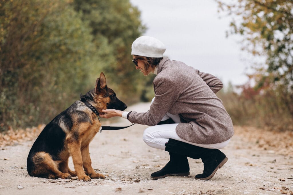 Köpek Eğitmenliği Kursu