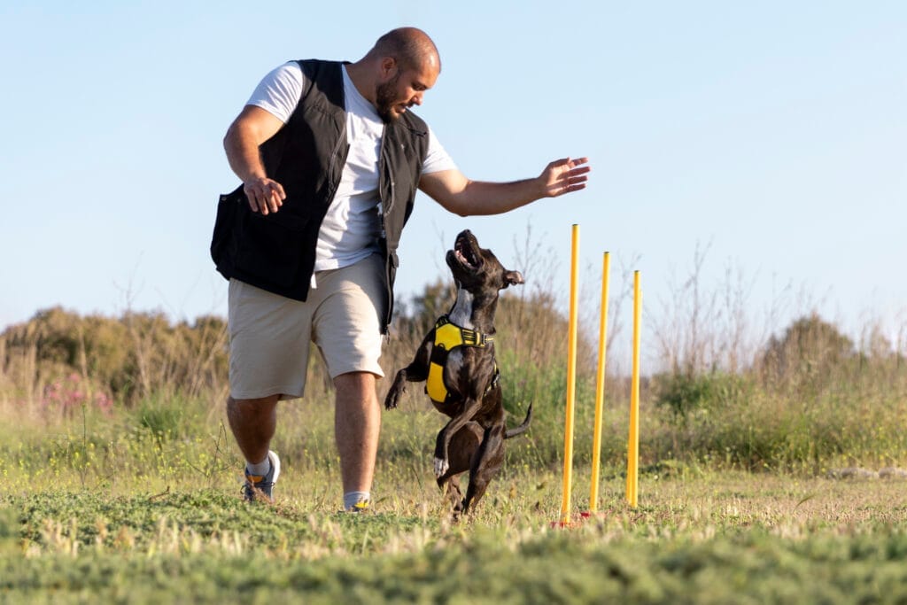 Köpek Eğitmenliği Kursu