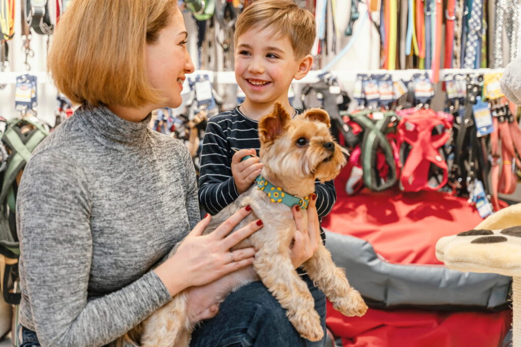 2148872589 1 Pet Shop Belgesi Nereden Alınır
