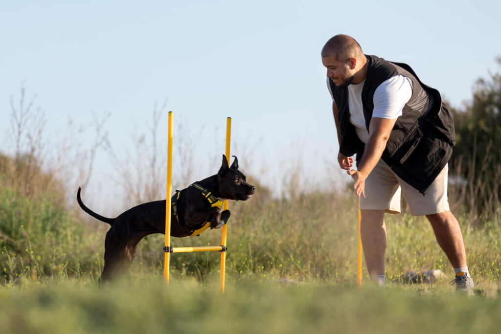 2149448225 1 Köpek Eğitmenliği Sertifikası Nasıl Alınır
