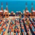 Online Hasta Yaşlı Bakım Sertifikası